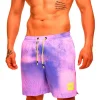 Boxer Mare Y02 - Viola