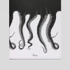 Vngrd Libro -